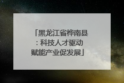 黑龙江省桦南县：科技人才驱动 赋能产业促发展
