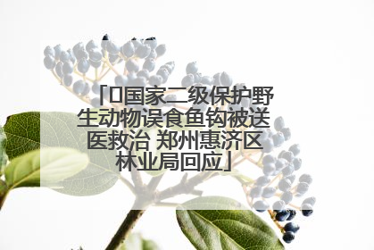 ﻿国家二级保护野生动物误食鱼钩被送医救治 郑州惠济区林业局回应