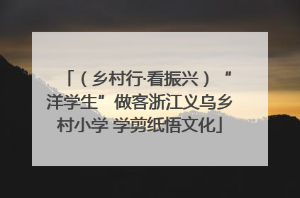 （乡村行·看振兴）“洋学生”做客浙江义乌乡村小学 学剪纸悟文化