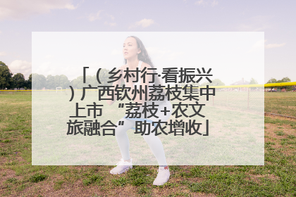 （乡村行·看振兴）广西钦州荔枝集中上市 “荔枝+农文旅融合”助农增收