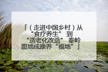 （走进中国乡村）从 “食疗养生” 到 “适老化改造” 秦岭腹地成康养“福地”