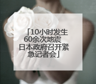 10小时发生60余次地震 日本政府召开紧急记者会