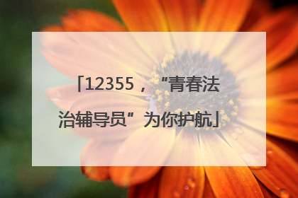 12355，“青春法治辅导员”为你护航