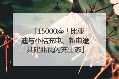 15000座！比亚迪与小桔充电、新电途共建兆瓦闪充生态