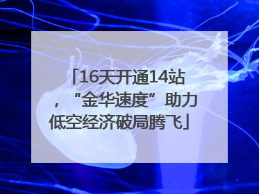 16天开通14站，“金华速度”助力低空经济破局腾飞