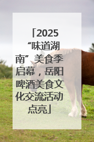 2025 “味道湖南”美食季启幕，岳阳啤酒美食文化交流活动点亮