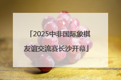 2025中非国际象棋友谊交流赛长沙开幕