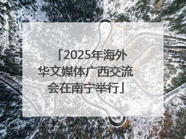 2025年海外华文媒体广西交流会在南宁举行