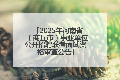 2025年河南省（商丘市）事业单位公开招聘联考面试资格审查公告