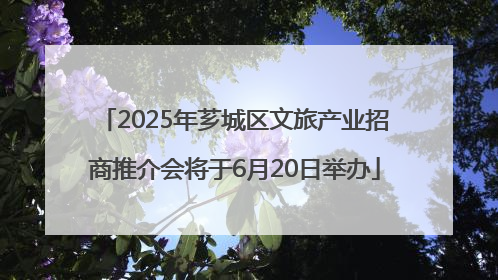 2025年芗城区文旅产业招商推介会将于6月20日举办