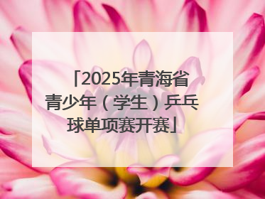 2025年青海省青少年（学生）乒乓球单项赛开赛