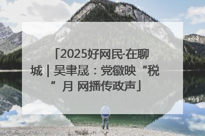 2025好网民·在聊城｜吴聿晟：党徽映“税”月 网播传政声