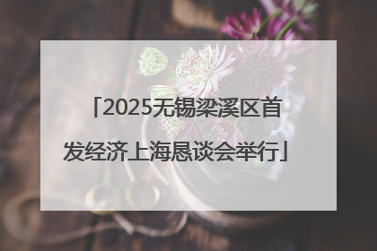 2025无锡梁溪区首发经济上海恳谈会举行