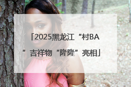 2025黑龙江“村BA”吉祥物“隆隆”亮相