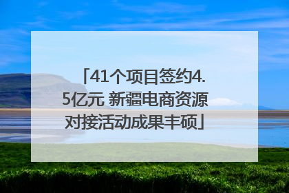 41个项目签约4.5亿元 新疆电商资源对接活动成果丰硕