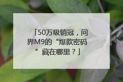 50万级销冠，问界M9的“爆款密码”藏在哪里？