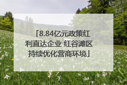 8.84亿元政策红利直达企业 红谷滩区持续优化营商环境
